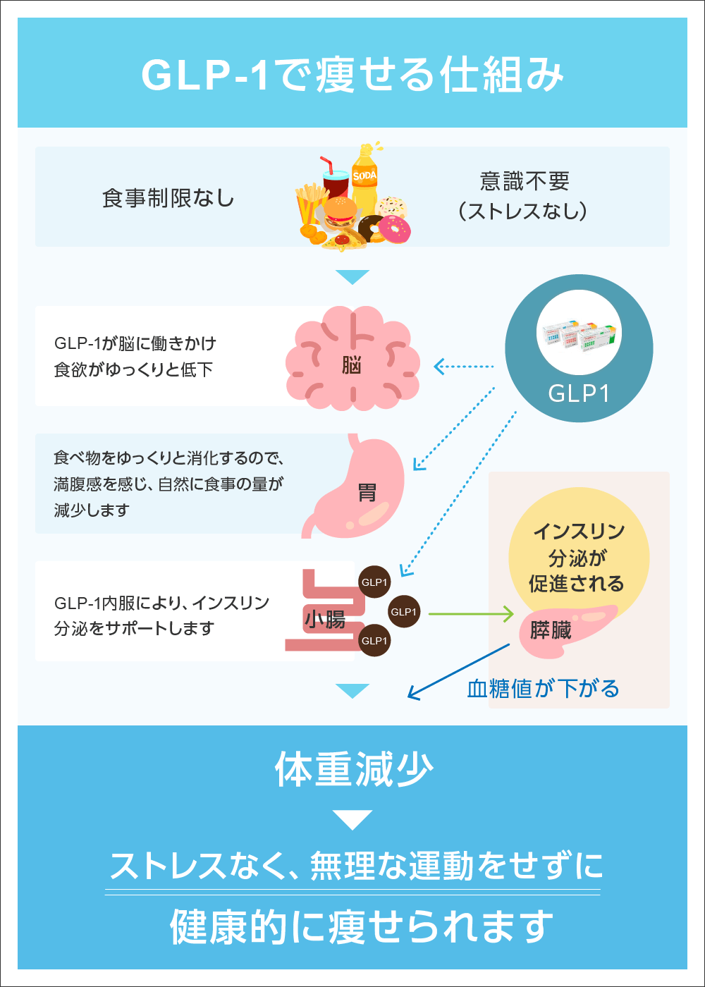 GLP-1とは