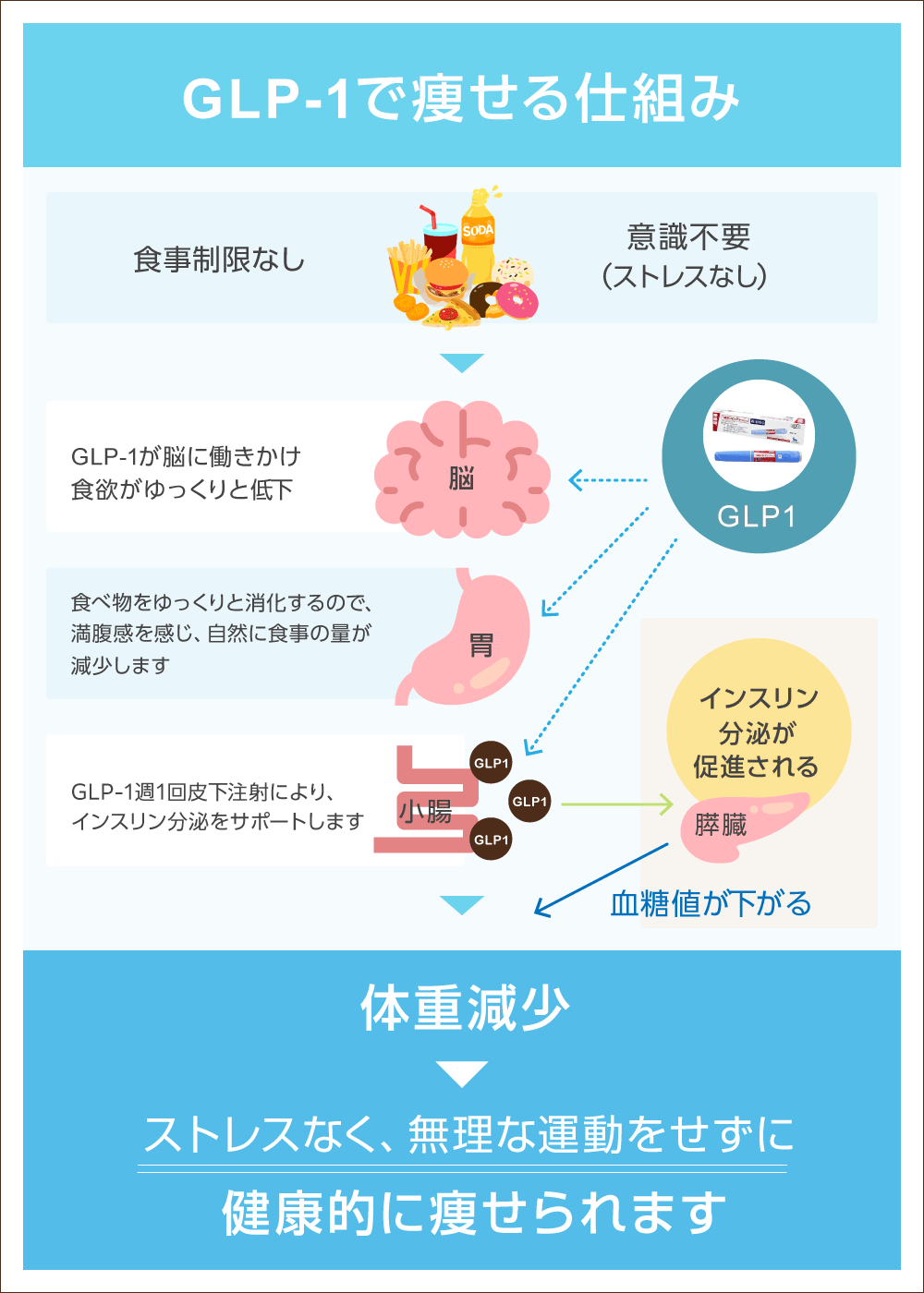 GLP-1とは